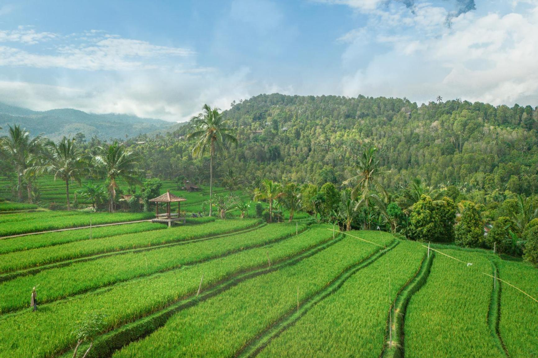 Villa Sande มุนดุก ภายนอก รูปภาพ